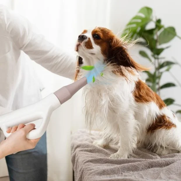 Dog Cat Hair Blower with Negative Ion Function - Image 3